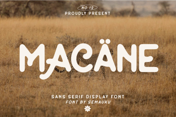 Macane: The Vintage Display Font That Transforms Your Creative Projects
